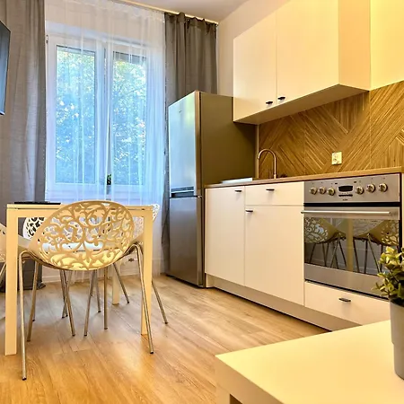 Studio Przy Dlugiej 格但斯克
